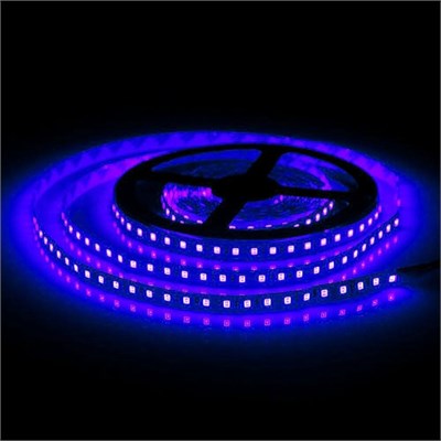 Светодиодная лента 12V 60 д/м SMD 5050 IP33 Standart Синий 7780_с - фото 70370