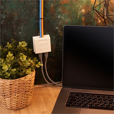 Розетка сетевая LAN, на стену, 2 гнездо 8Р8С (RJ-45), CAT 5е REXANT 06-0105-C - фото 90455