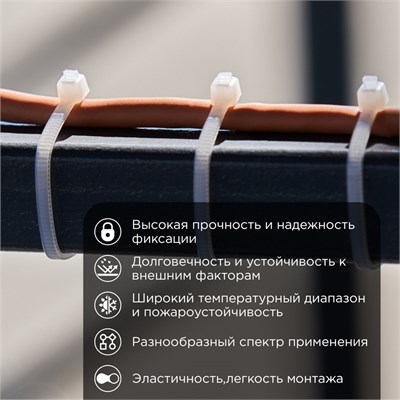 Стяжка кабельная нейлоновая 100x2,5мм, белая (100 шт/уп) REXANT 07-0100 - фото 90654