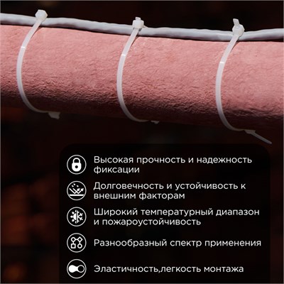 Стяжка кабельная нейлоновая 100x2,5мм, белая (25 шт/уп) REXANT 07-0100-25 - фото 90655