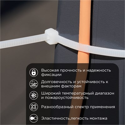 Стяжка кабельная нейлоновая 250x4,8мм, белая (100 шт/уп) REXANT 07-0250-5 - фото 90730