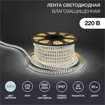 Лента светодиодная 220В, SMD2835, 276 LED/м, Холодный белый, 7,5x20мм, 50м, без установочного набора, IP67 NEON-NIGHT 142-203 - фото 94316