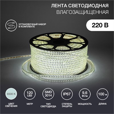 Лента светодиодная 220В, SMD3014, 9,6Вт/м, 120 LED/м, Холодный белый, 6х10,6мм, 100м, с кабелем питания, IP67 NEON-NIGHT 142-801 - фото 94330