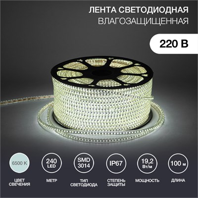 Лента светодиодная 220В, SMD3014, 19,2Вт/м, 240 LED/м, Холодный белый, 6,5х15мм, 100м, с кабелем питания, IP67 NEON-NIGHT 142-803 - фото 94332
