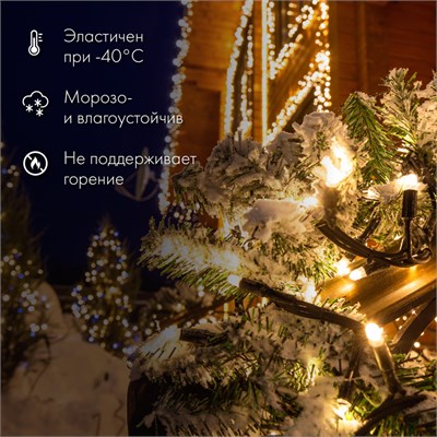 Гирлянда светодиодная Нить 20м 200 LED БЕЛЫЙ черный каучук IP67 постоянное свечение 230В соединяется нужен блок 315-000 NEON-NIGHT 315-155 - фото 99928