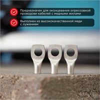 Наконечник медный луженый ТМЛ-Р 2,5–5 (2,5мм² - Ø5мм) ГОСТ 7386-80 (в упак. 10 шт.) REXANT 07-5301-2
