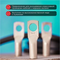 Наконечник медный луженый ТМЛ 35–12–10 (35мм² - Ø12мм) ГОСТ 7386-80 (в упак. 50 шт.) REXANT 07-5321-5