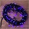 Гирлянда Нить управляемая 10м 100 LED ФИОЛЕТОВЫЙ черный ПВХ IP65 свечение с динамикой 230В контроллер в комплекте NEON-NIGHT 303-154 - фото 82401