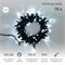 Гирлянда светодиодная Нить 10м 100 LED БЕЛЫЙ черный ПВХ IP65 постоянное свечение 230В соединяется нужен блок 303-500 NEON-NIGHT 305-175 - фото 82541