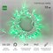 Гирлянда светодиодная Нить 10м 100 LED ЗЕЛЕНЫЙ белый ПВХ IP65 эффект мерцания 24В соединяется NEON-NIGHT нужен трансформатор 531-100/531-311/531-312 305-234 - фото 82555
