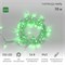 Гирлянда светодиодная Нить 10м 100 LED ЗЕЛЕНЫЙ прозрачный ПВХ IP65 эффект мерцания 24В соединяется NEON-NIGHT нужен трансформатор 531-100/531-311/531-312 305-254 - фото 82564