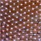 Гирлянда светодиодная Сеть 2x4м 560 LED БЕЛЫЙ черный каучук IP67 постоянное свечение 230В блок в комплекте NEON-NIGHT 217-135 - фото 95178
